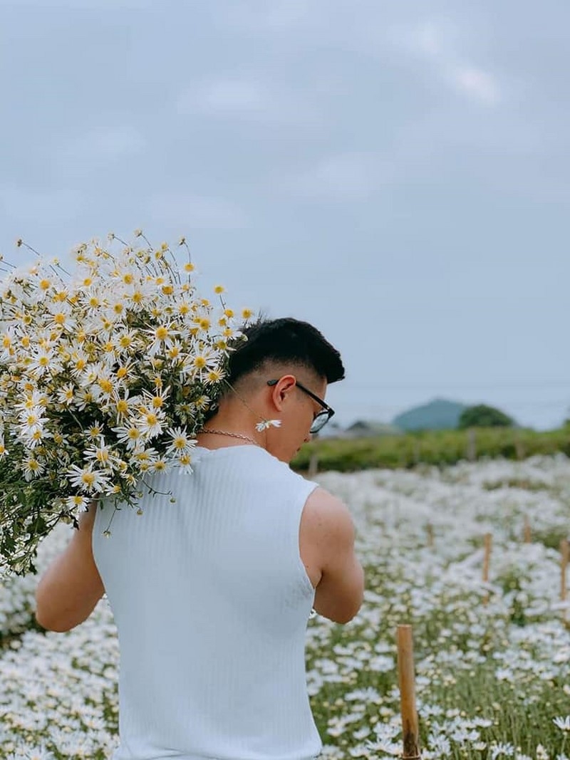 Du lịch Mộc Châu tháng 11: Mộng mơ cúc trắng, ấm áp cam vàng