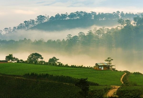 Mời bạn ghé Trại Mát Đà Lạt- tìm lại chốn bình yên