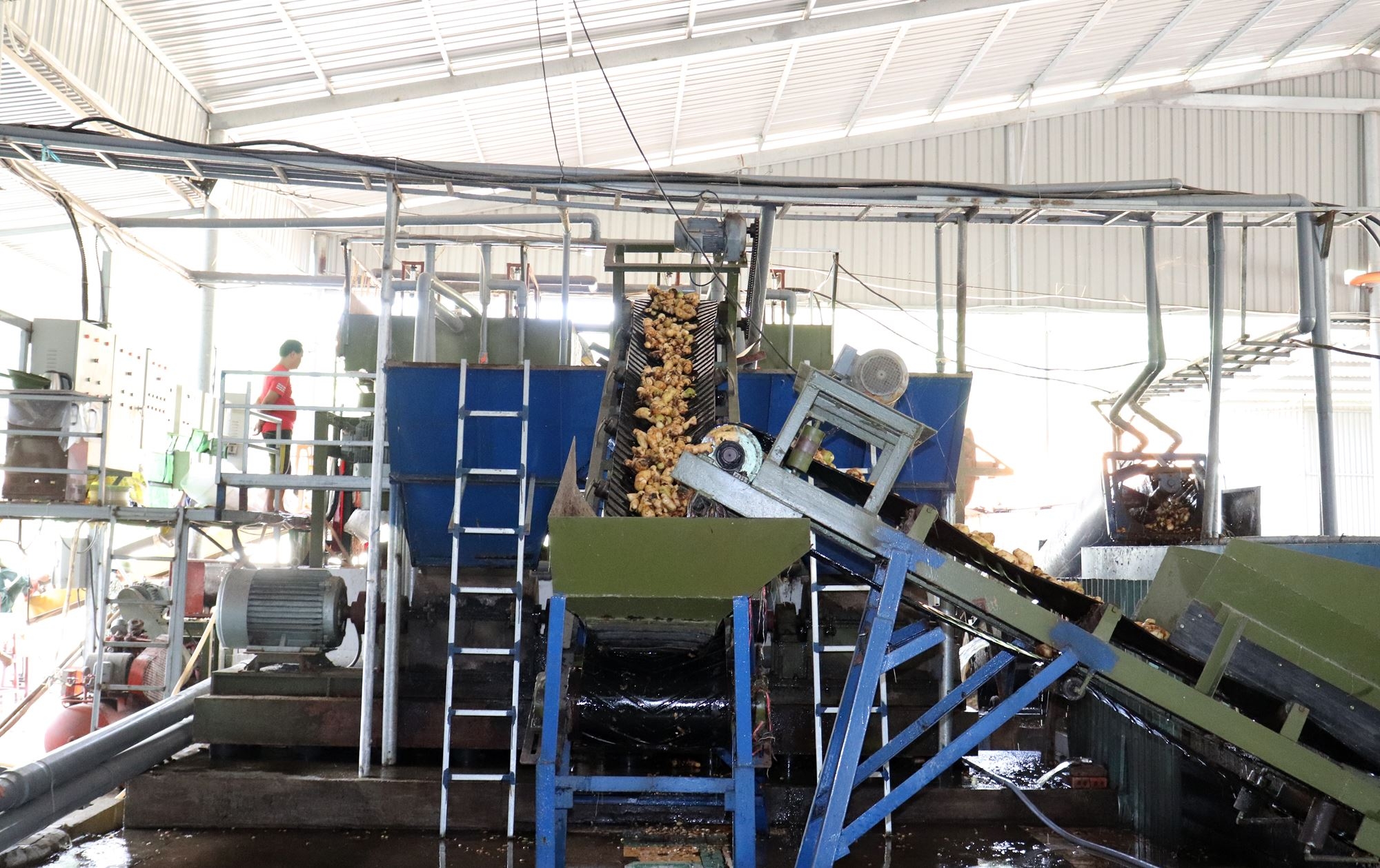 Đặc sản miến dong Bình Liêu