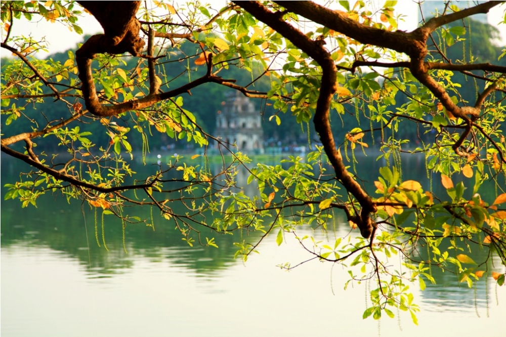 Thời tiết 10 ngày (18-27/2/2021): Bắc Bộ hửng nắng, Nam Bộ không mưa