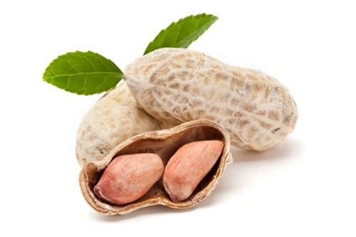 Những món ăn tốt và tác động tích cực cho não bộ