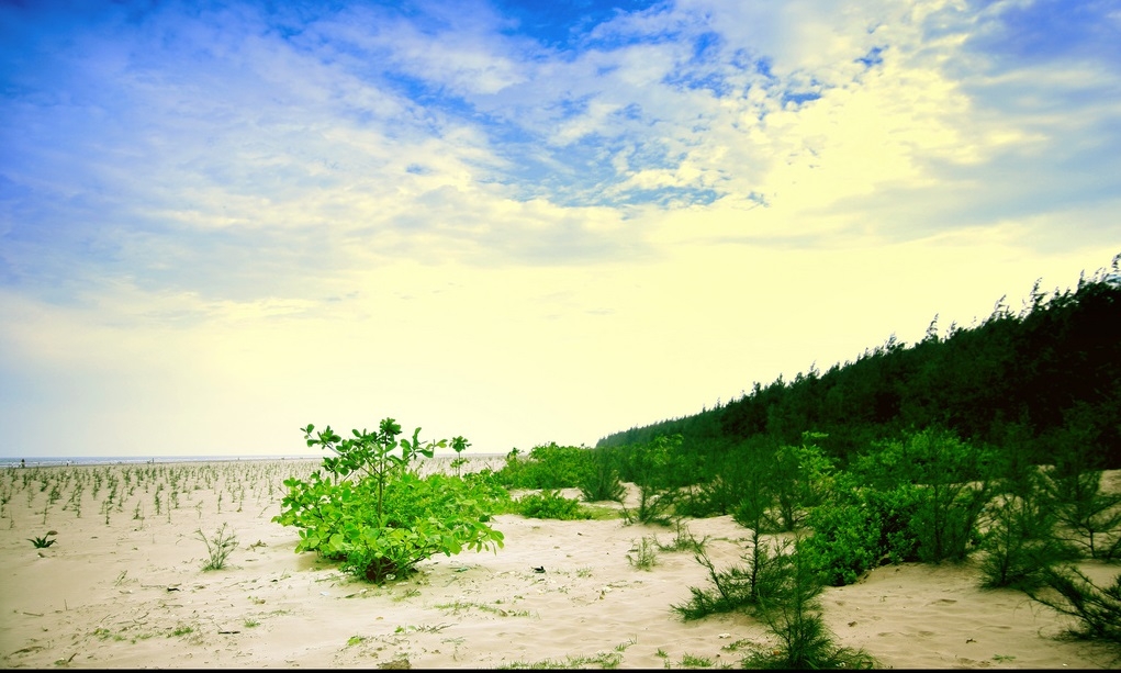 Những điểm đến hấp dẫn khi đặt chân đến mảnh đất Thái Bình