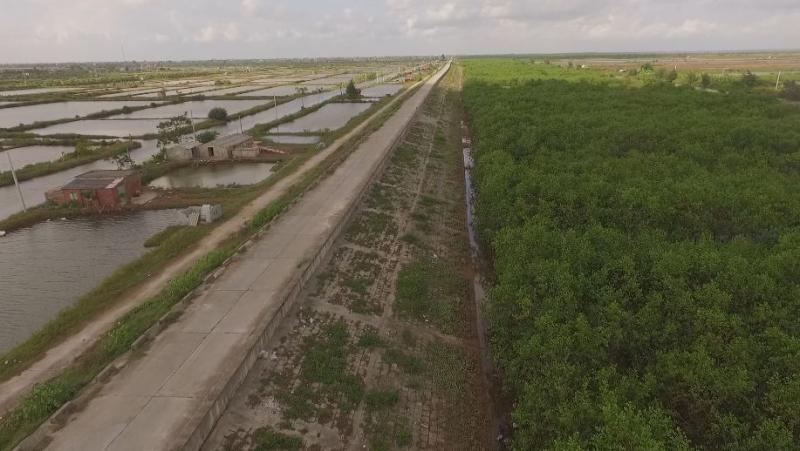 Những điểm đến hấp dẫn khi đặt chân đến mảnh đất Thái Bình