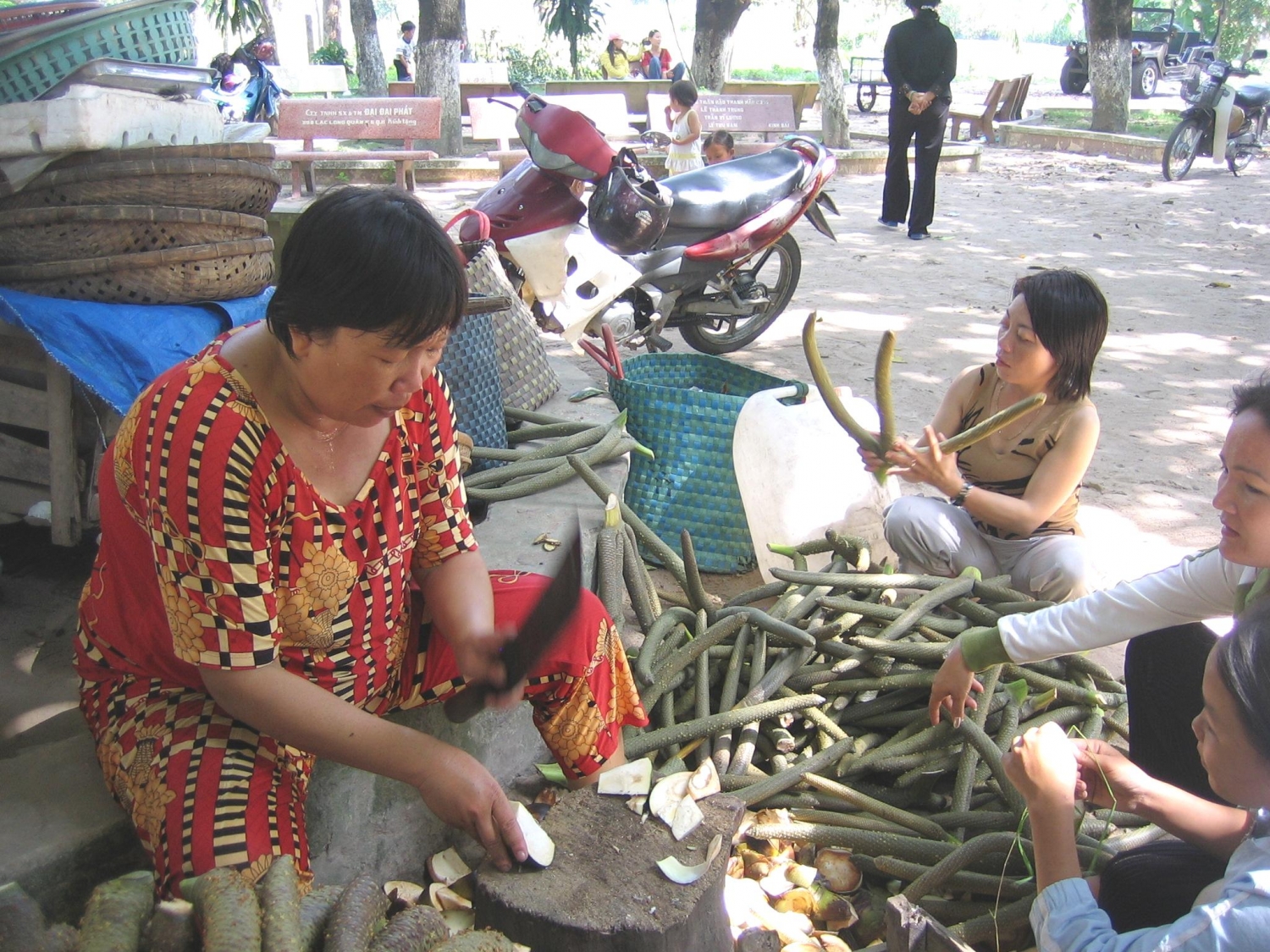 Kỳ 1: Thốt nốt: Đặc sản nổi tiếng của An Giang
