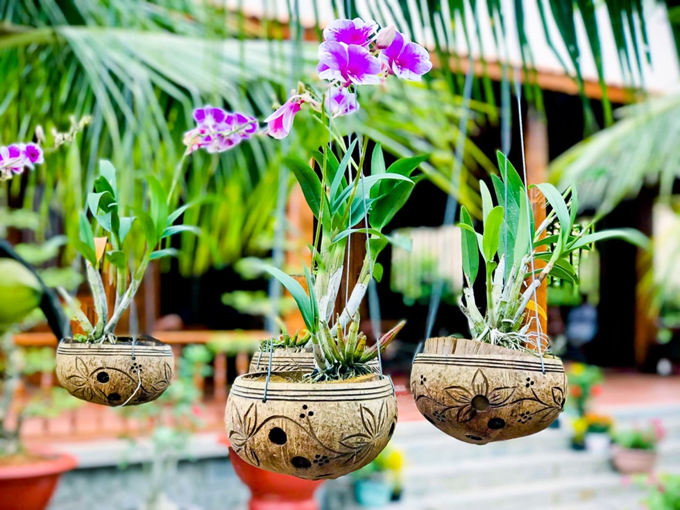 ngoi nha doc nhat mien tay duoc lam bang dua