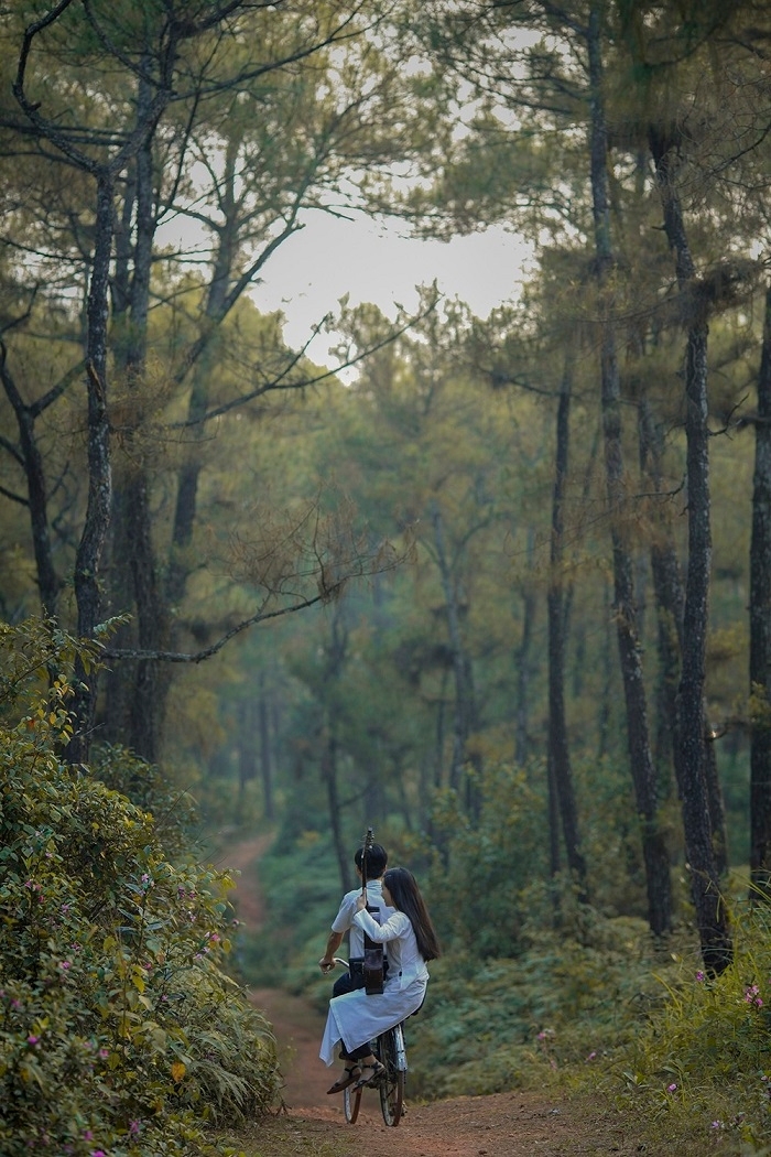 Chiêm ngưỡng làng Hà Cảng – Huế đẹp như tranh vẽ trong bối cảnh phim “Mắt Biếc” chiem nguong lang ha cang hue dep nhu tranh ve trong boi canh phim mat biec