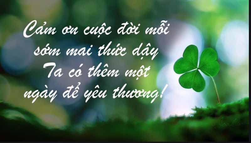 Những câu nói hay về cuộc sống giúp bạn thay đổi, sống tích cực hơn Những câu nói hay về cuộc sống giúp bạn thay đổi, sống tích cực hơn