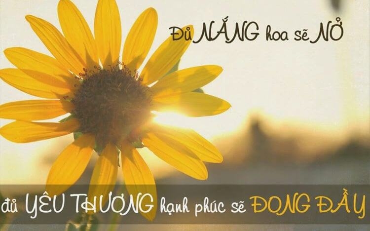 Những câu nói hay về cuộc sống giúp bạn thay đổi, sống tích cực hơn