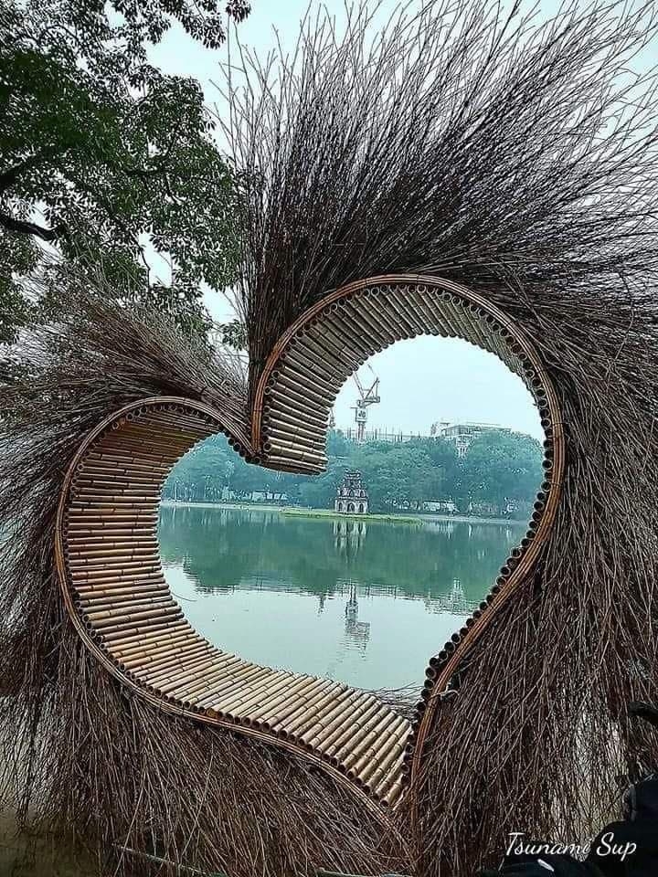 Truy tìm nguồn gốc của 'Trái tim lông lá' bên bờ Hồ Gươm khiến cộng đồng mạng dậy sóng