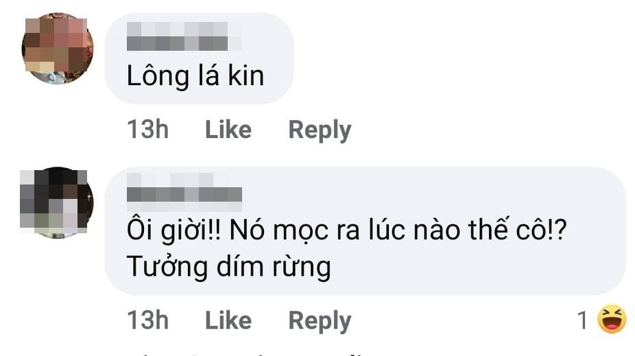 Truy tìm nguồn gốc của 'Trái tim lông lá' bên bờ Hồ Gươm khiến cộng đồng mạng dậy sóng
