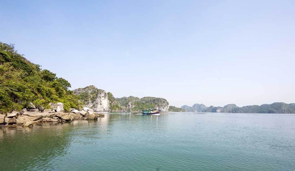 Cảnh đẹp Tùng Ngón Cảnh đẹp tùng Ngón