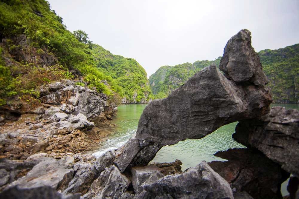 Cảnh đẹp Tùng Ngón Cảnh đẹp tùng Ngón