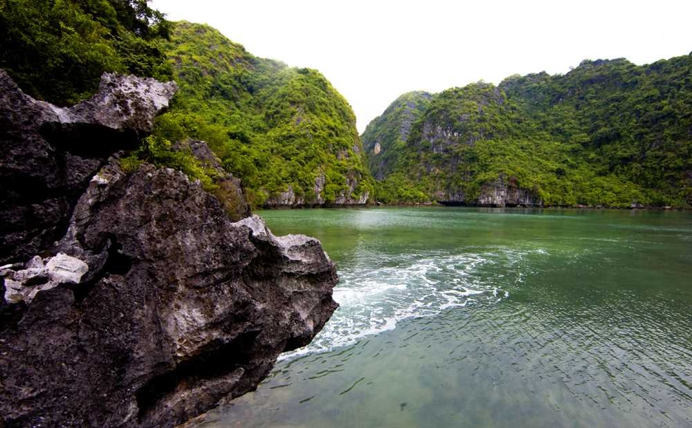 Cảnh đẹp Tùng Ngón Cảnh đẹp tùng Ngón
