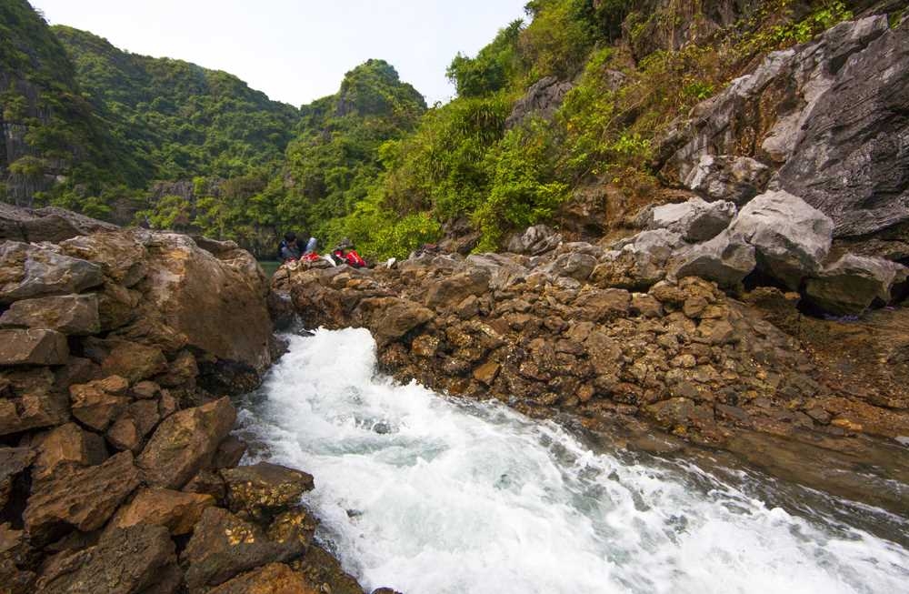 Cảnh đẹp Tùng Ngón Cảnh đẹp tùng Ngón