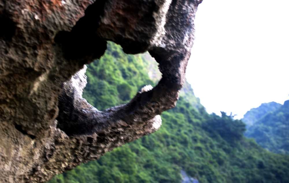 Cảnh đẹp Tùng Ngón Cảnh đẹp tùng Ngón