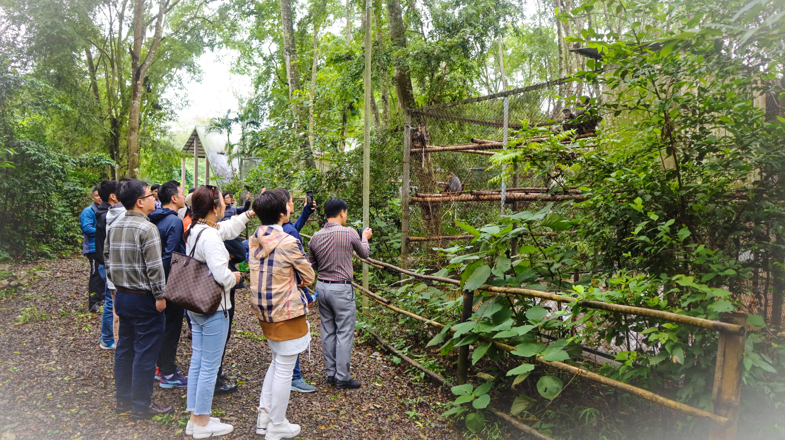 Khám phá Cúc Phương – Vườn quốc gia được vinh danh hàng đầu châu Á trong hai năm liên tiếp 2019-2020