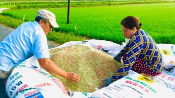 Giá phân bón hôm nay 2/1: Thị trường kém tích cực