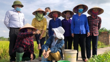 Giá phân bón hôm nay 4/1: Đứng ở mức cao