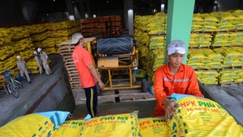 Giá phân bón hôm nay 9/1: Giao dịch ảm đạm