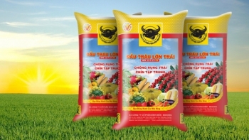 Giá phân bón hôm nay 10/1: Duy trì ổn định