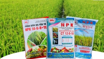 Giá phân bón hôm nay 12/1: Giữ ổn định