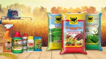 Giá phân bón hôm nay 14/1: Thị trường ổn định