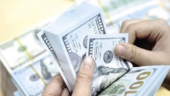 Tỷ giá ngoại tệ hôm nay 14/1: Đồng USD tiếp tục lao dốc