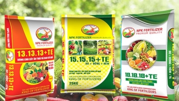 Giá phân bón hôm nay 16/1: Im ắng ngày cận tết
