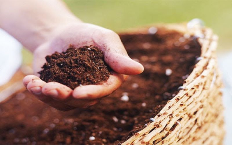 Giá phân bón hôm nay 18/1: Duy trì ổn định