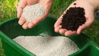 Giá phân bón hôm nay 31/1: Giao dịch kém sôi động