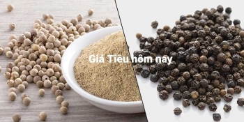 Giá tiêu hôm nay 3/8:  Thị trường trong nước ổn định
