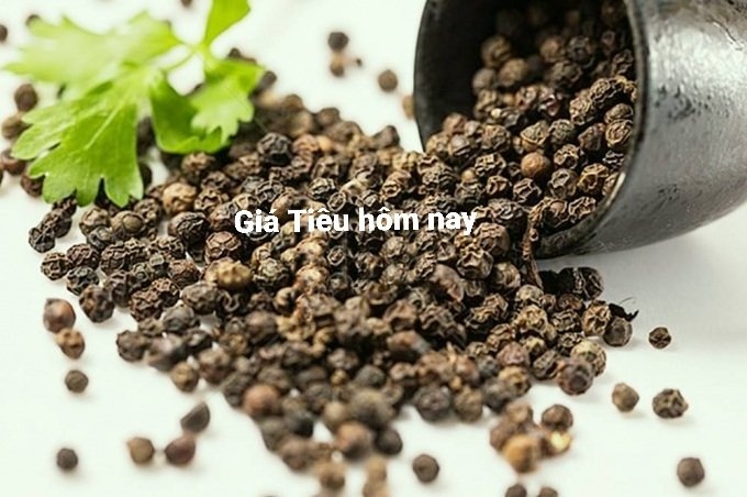 Giá tiêu hôm nay 6/8: Tiếp tục tăng