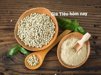 Giá tiêu hôm nay 7/8: Giao dịch từ 71.500 - 74.000 đ/kg