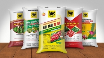 Giá phân bón hôm nay 12/8: Phân DAP và Kali vẫn đi ngang