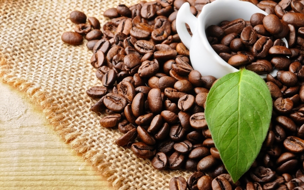 Giá cà phê hôm nay 22/8: Tăng nhẹ 200 đồng/kg