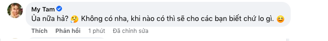 Mỹ Tâm lên tiếng khi bị đồn đang mang thai