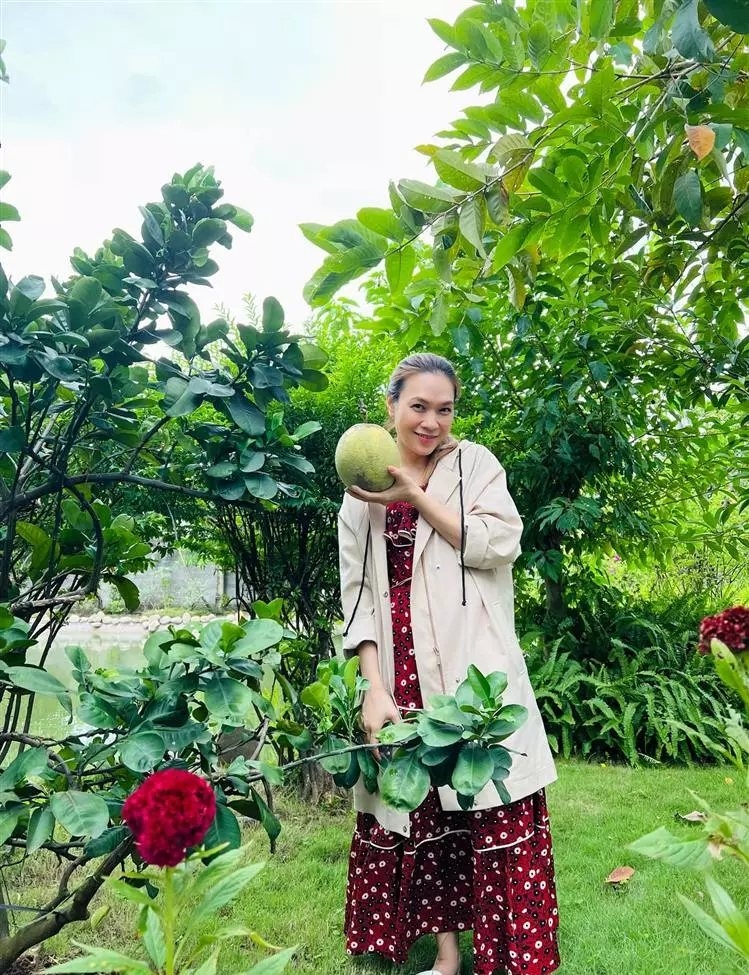 Mỹ Tâm lên tiếng khi bị đồn đang mang thai