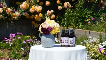 Luyến Morrison - Gửi trọn niềm đam mê với nước hoa hồng Puretas