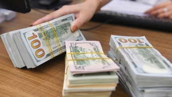 Tỷ giá ngoại tệ hôm nay 29/9: Đồng USD quay đầu rớt giá