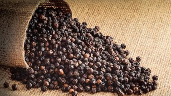 Giá tiêu hôm nay 17/10: Thu mua thấp nhất ở mức 59.500 đồng/kg