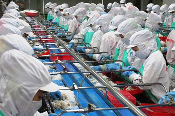 Ngành Thủy sản Bến Tre báo lãi tăng gấp 11 lần so với cùng kỳ