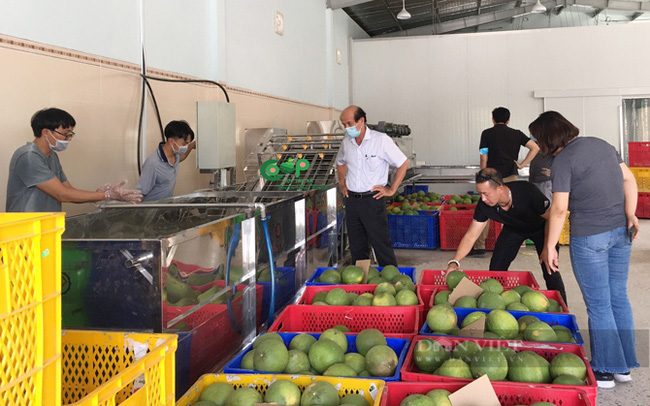Bến Tre: Tập trung đẩy mạnh phát triển kinh tế tập thể, hợp tác xã