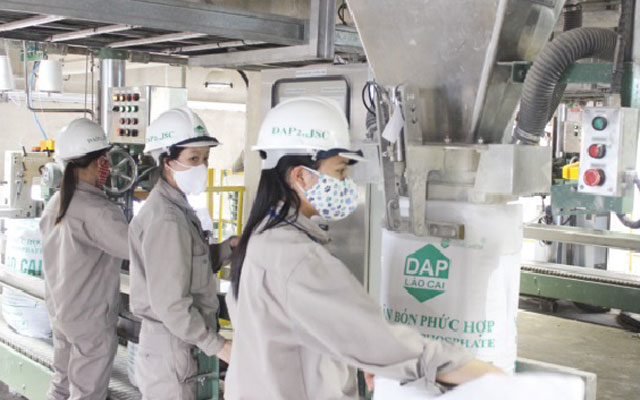 Giá phân bón hôm nay 26/10: Một số mặt hàng phân bón tăng nhẹ