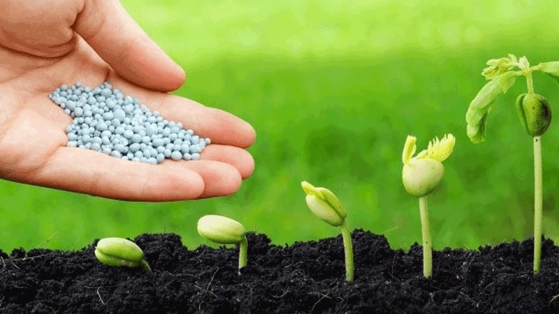 Giá phân bón hôm nay 6/11: Chững lại ở mức cao