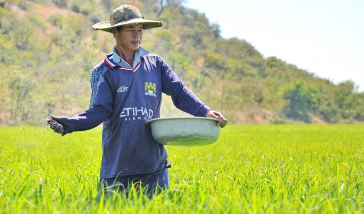Giá phân bón hôm nay 8/11: Thị trường không có biến động