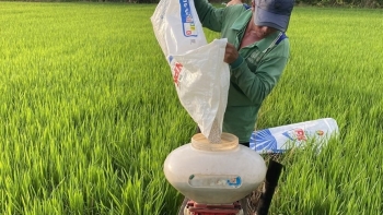 Giá phân bón hôm nay 10/11: Duy trì ổn định