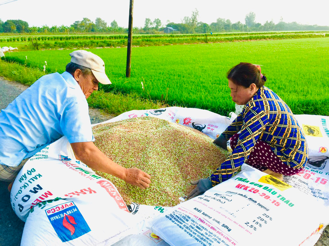 Giá phân bón hôm nay 22/11: Thị trường giao dịch chậm