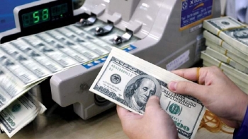 Tỷ giá ngoại tệ hôm nay 7/12: Đồng USD ổn định ở mức 105 điểm