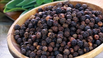 Giá tiêu hôm nay 30/12: Thị trường tích cực, tăng 1.000 đồng/kg