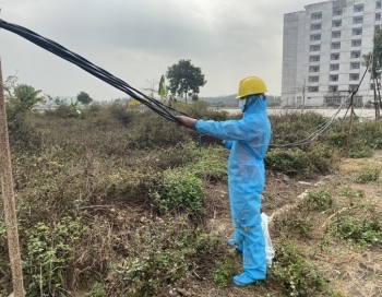 EVNNPC đảm bảo hoạt động kinh doanh và dịch vụ khách hàng ứng phó dịch bệnh Covid 19